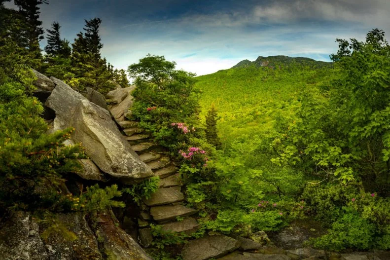 A view of stone steps, trees and the sky from a grassy, green mountain in Boone, NC