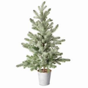 The Holiday Aisle 36-inch Green Pine Artificial Christmas Tree