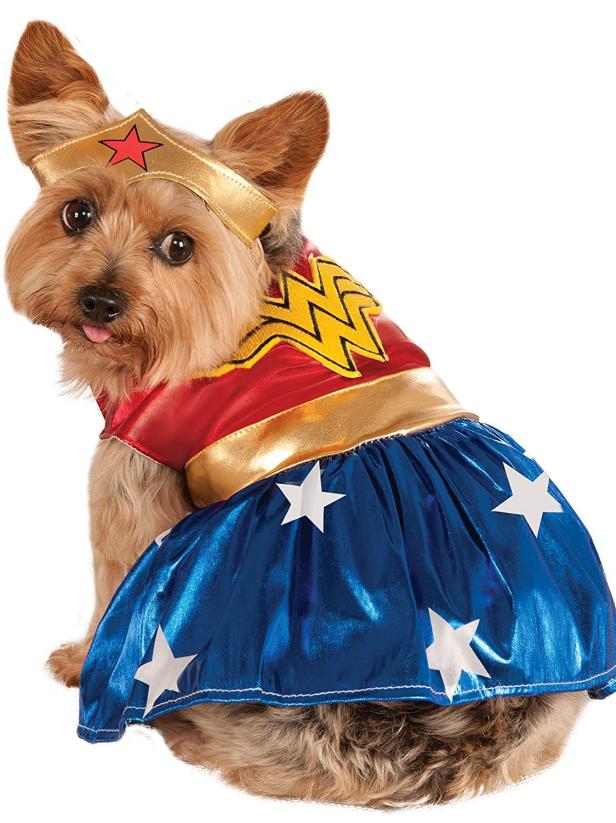 Top Small Dog Halloween Costumes From Amazon HGTV