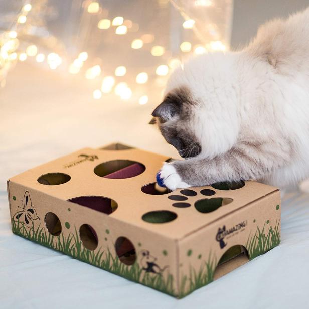 16 Gifts For Cats Under 20 Hgtv