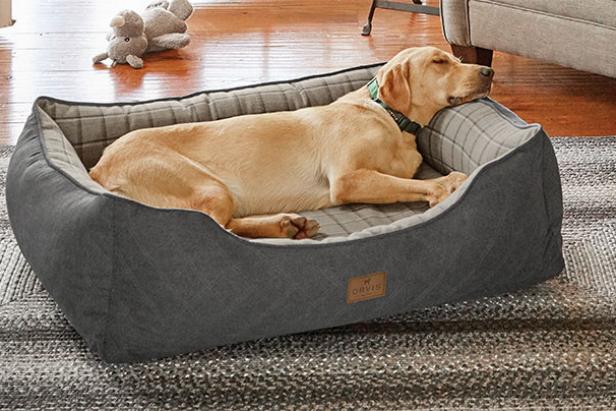10 Stylish Pet Beds Hgtv