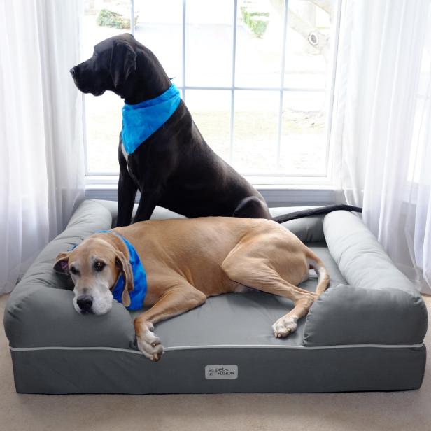 10 Stylish Pet Beds Hgtv