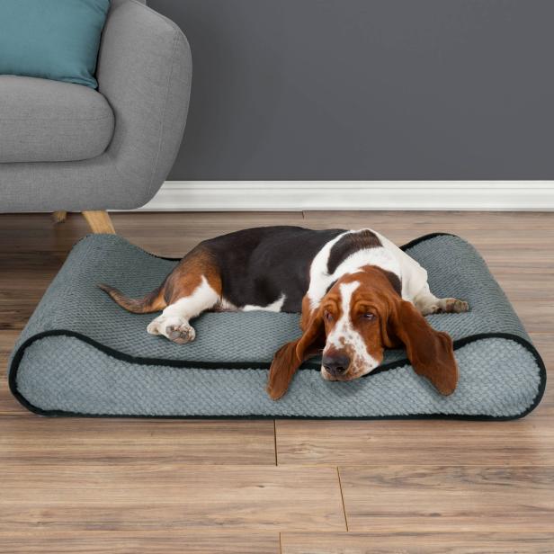 10 Stylish Pet Beds Hgtv