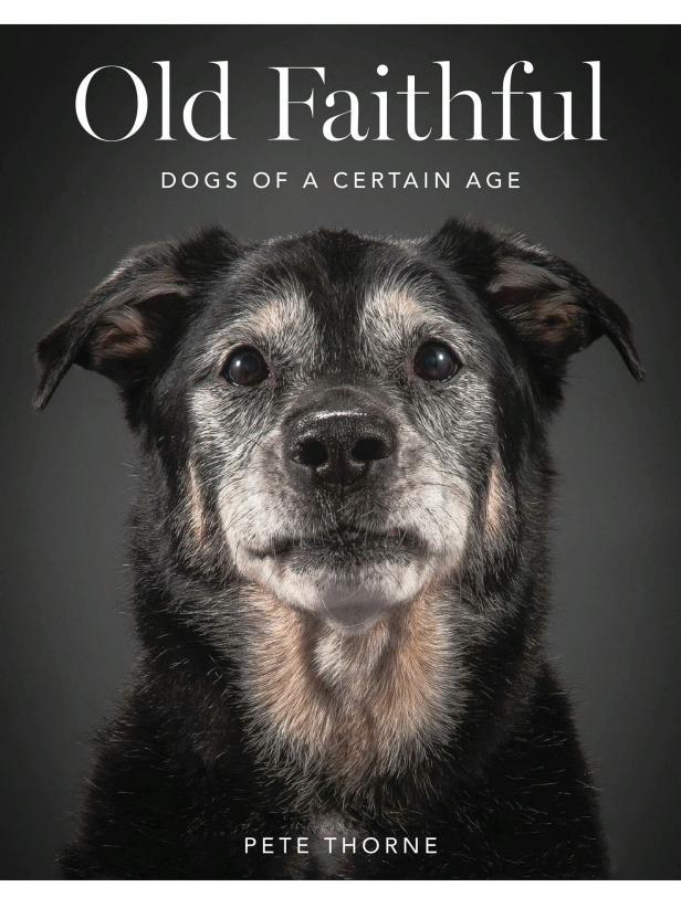 20 Best Coffee Table Books About Dogs 2022 HGTV