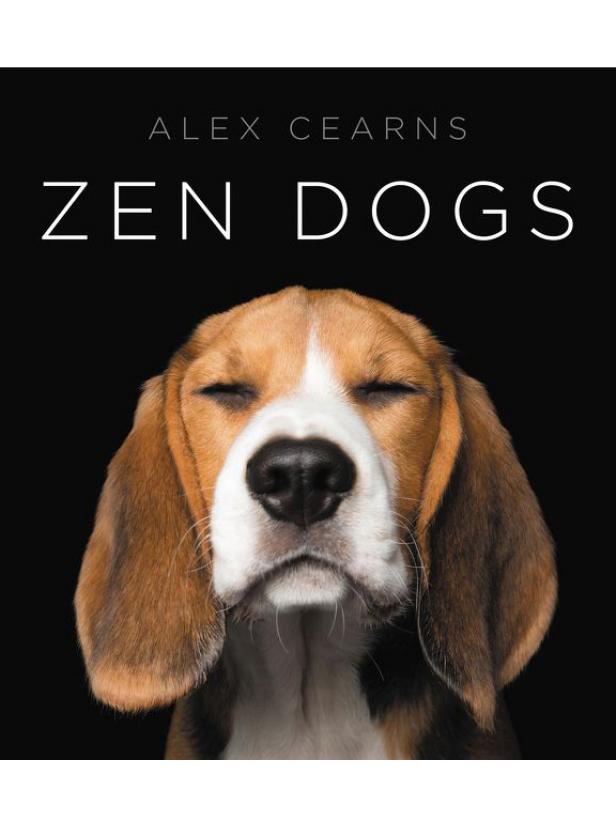 20 Best Coffee Table Books About Dogs 2022 HGTV