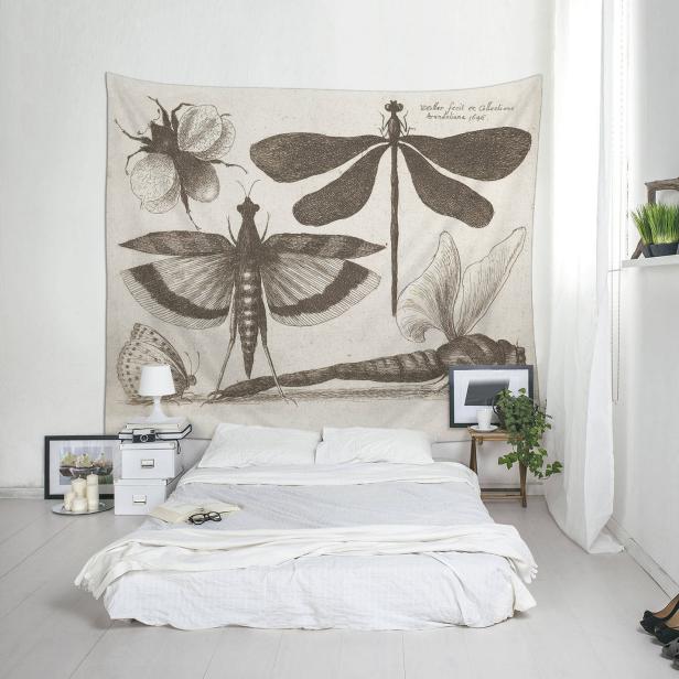 Our 10 Fave Stylish Not Creepy Insect Decor Hgtv