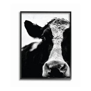 Cow Close up Framed Art