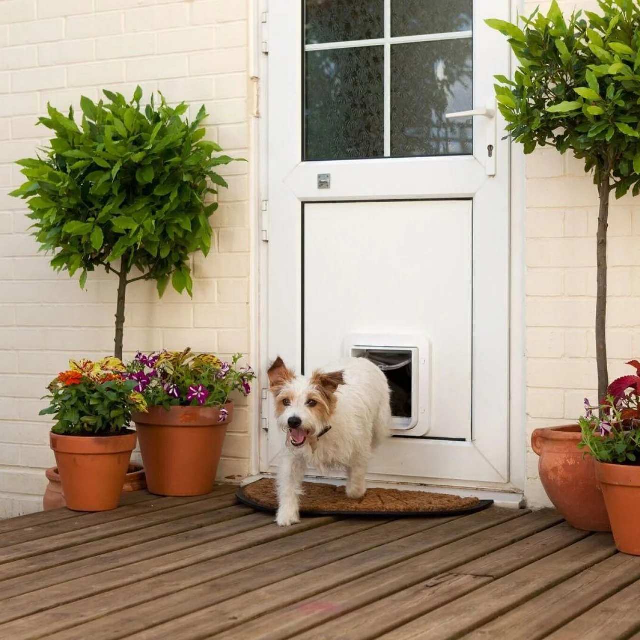 The Best Dog Door Ideas 2022 HGTV