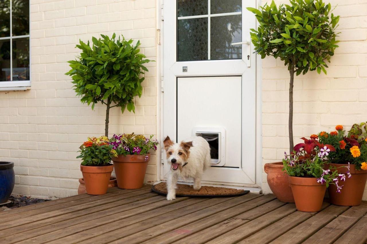 Fancy dog door sales