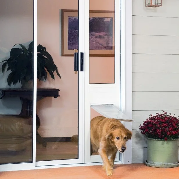 Pet screen door insert discount