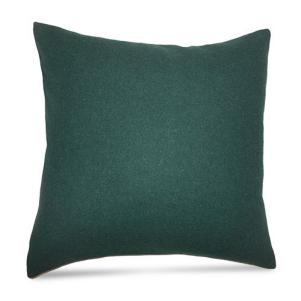 Eire Solid Throw Pillow