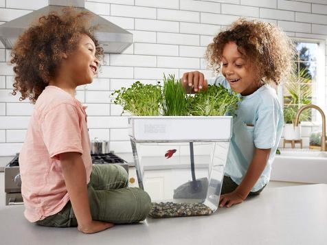 3 Best Tabletop Hydroponic Kits for Growing Herbs and Veggies at Home