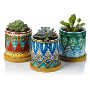 Ceramic Cact. Plantrs