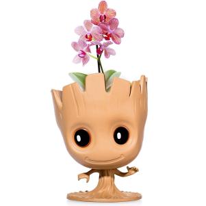 Cute Groot Planter