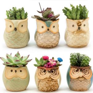 Owl Cactus Planters