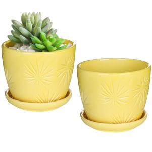 Sunburst Flower Pots