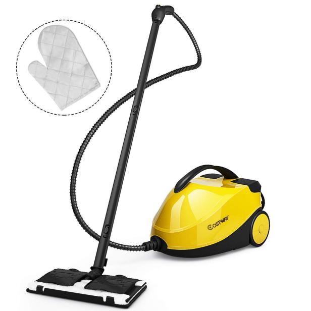 10 Best Steam Cleaners on Amazon HGTV