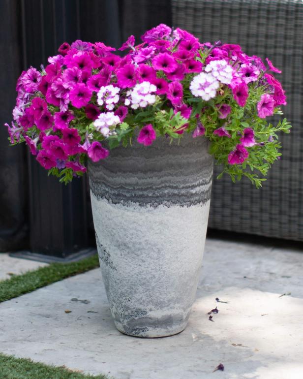 Top Pots And Planters For Every Budget Hgtv