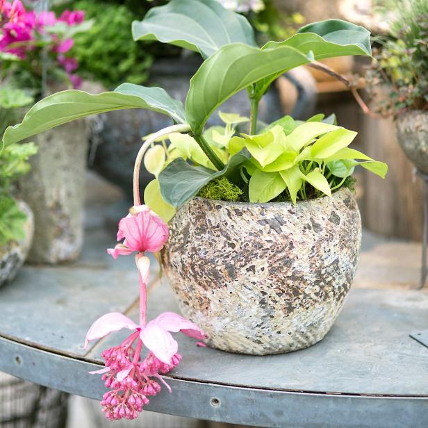 Top Pots And Planters For Every Budget Hgtv