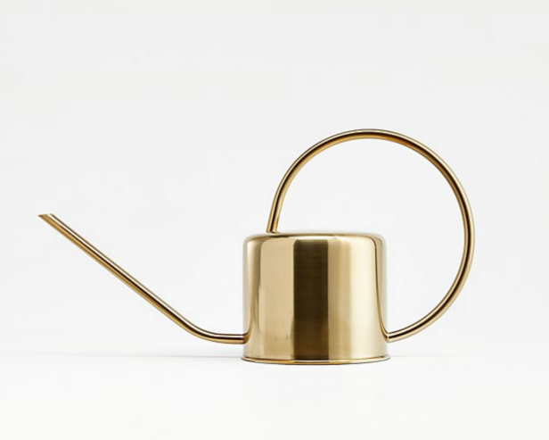 12 Best Decorative Watering Cans And Pitchers Hgtv Each one is made from durable plastic and topped with the traditional haws brass rose for rugged enough for outdoor use, this watering can's refined style suits elegant indoor gardens, dainty terrariums and glamorous conservatories. 12 best decorative watering cans and