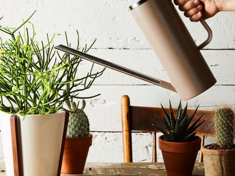 These Watering Cans Are So Pretty, You'll Want to Keep Them on Display