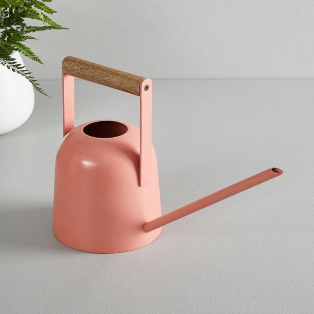 12 Best Decorative Watering Cans And Pitchers Hgtv Green birdhouse, sprouts of mini green in orange cup and bamboo biodegradable fork and knife mini blue watering can with two ripe cherry fruit. 12 best decorative watering cans and