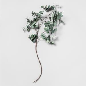 Faux Eucalypt. Stem