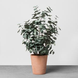 Faux Eucalypts in Pot