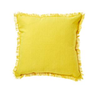 Fringe Pillow