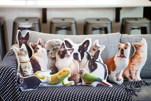 23 Best Gifts for Pet Lovers in 2024 HGTV