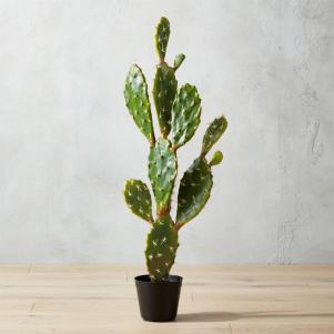 Faux Prickly Pear Cactus