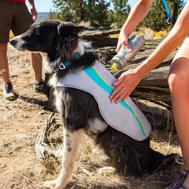Cooling products for dogs top