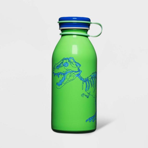 Dino Water Bottle