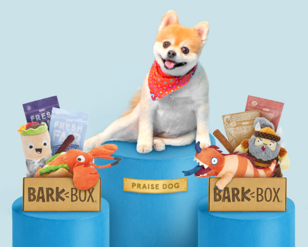 barkbox products