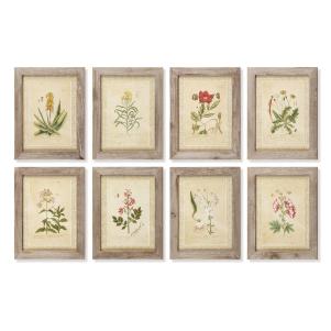 Garden Framed Prints