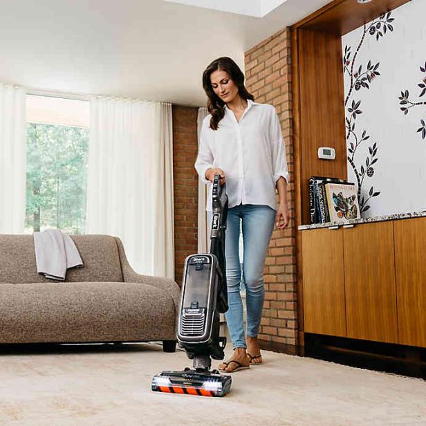 bed bath and beyond shark upright vacuum