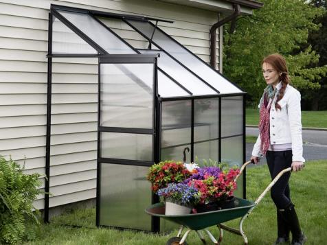 10 Backyard Greenhouses You Can Buy Online