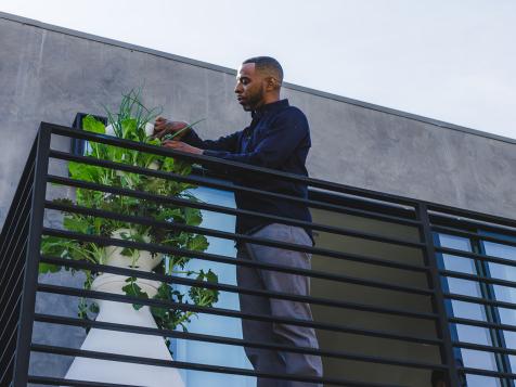 This Hydroponic Garden System Solves Your Small-Space Problems With Great Design