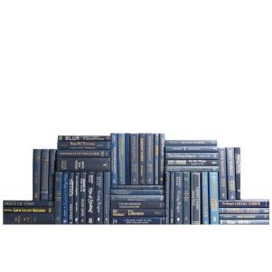 50 Piece Navy Book Authentic Decorative Book Set