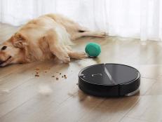 Perfect for picking up crumbs and dust on the daily, these hard-working robot vacuums are the ones we tried and loved.