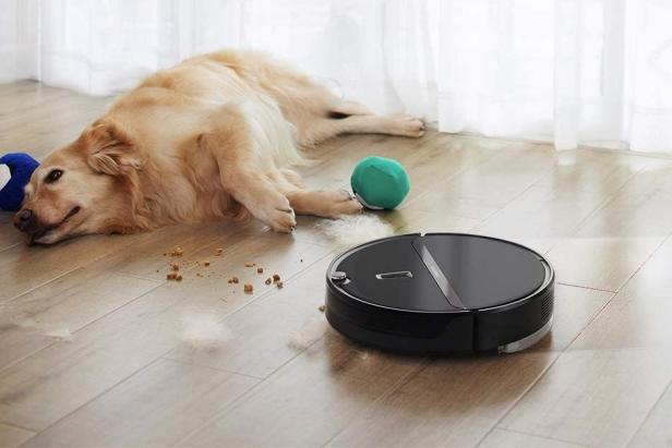 Robot Vacuum Reviews, Best Robot Vacuum For Dog Hair On Hardwood Floors