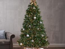 Score top-rated trees for a lot less during these sales events.
