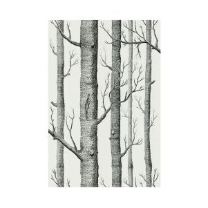 Cole & Sons Woods Wallpaper