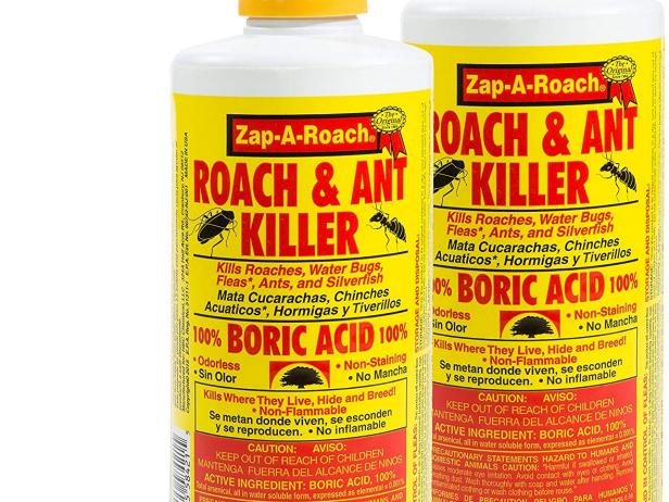 How To Get Rid Of Ants In The House And In Your Yard Hgtv