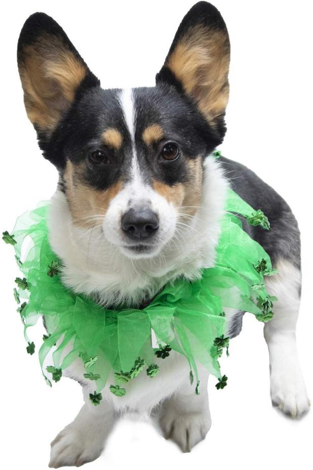  Vehomy Pet Dog Saint Patrick's Day Costume - Green Dog Top Hat  Dog Saint Patrick's Day Shamrock Bandana with Clover Pattern and Pet Tutu  Skirt for Girl Dogs Cats Puppy