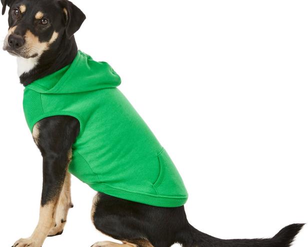 Cute St. Patrick s Day Dog Costumes and Accessories for 2020 HGTV