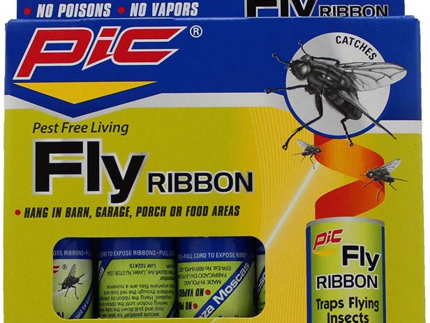 How To Get Rid Of Gnats In Your Home And Garden Hgtv