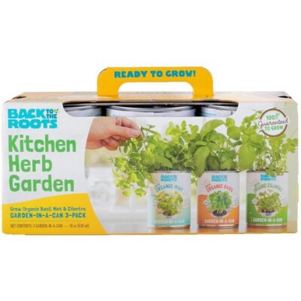 10 Best Gardening Kits For Kids Hgtv
