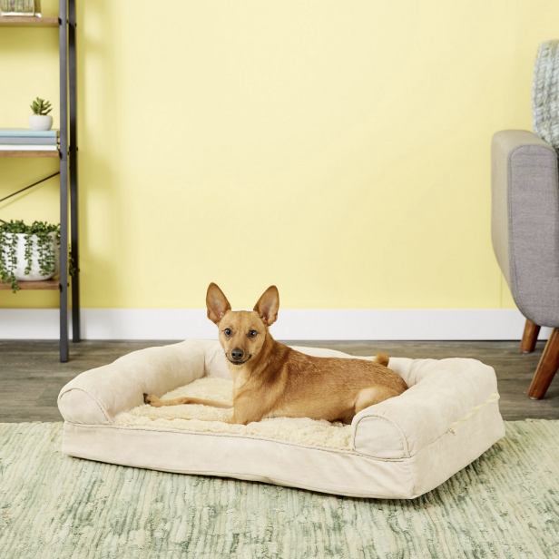 17 must-have products for new dog owners