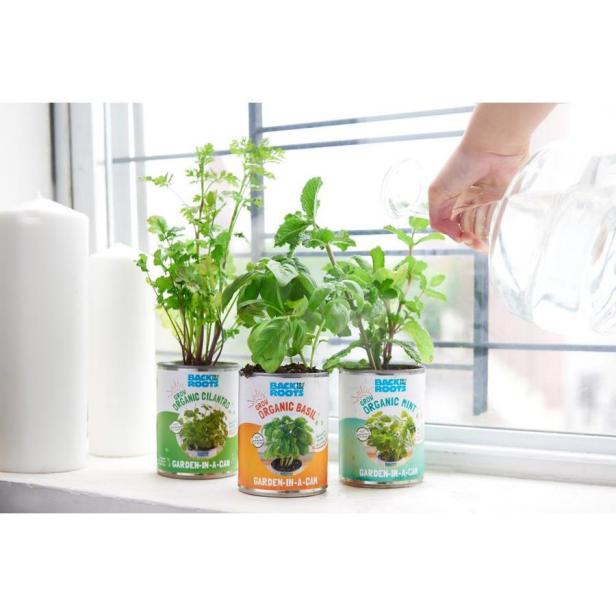 The 10 Best Indoor Herb Garden Kits And Planters Hgtv